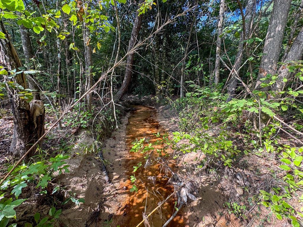 2 Red Rock Road Robeline, LA 71469 - Photo 9 of 16 a backyard of a house with lots of green space