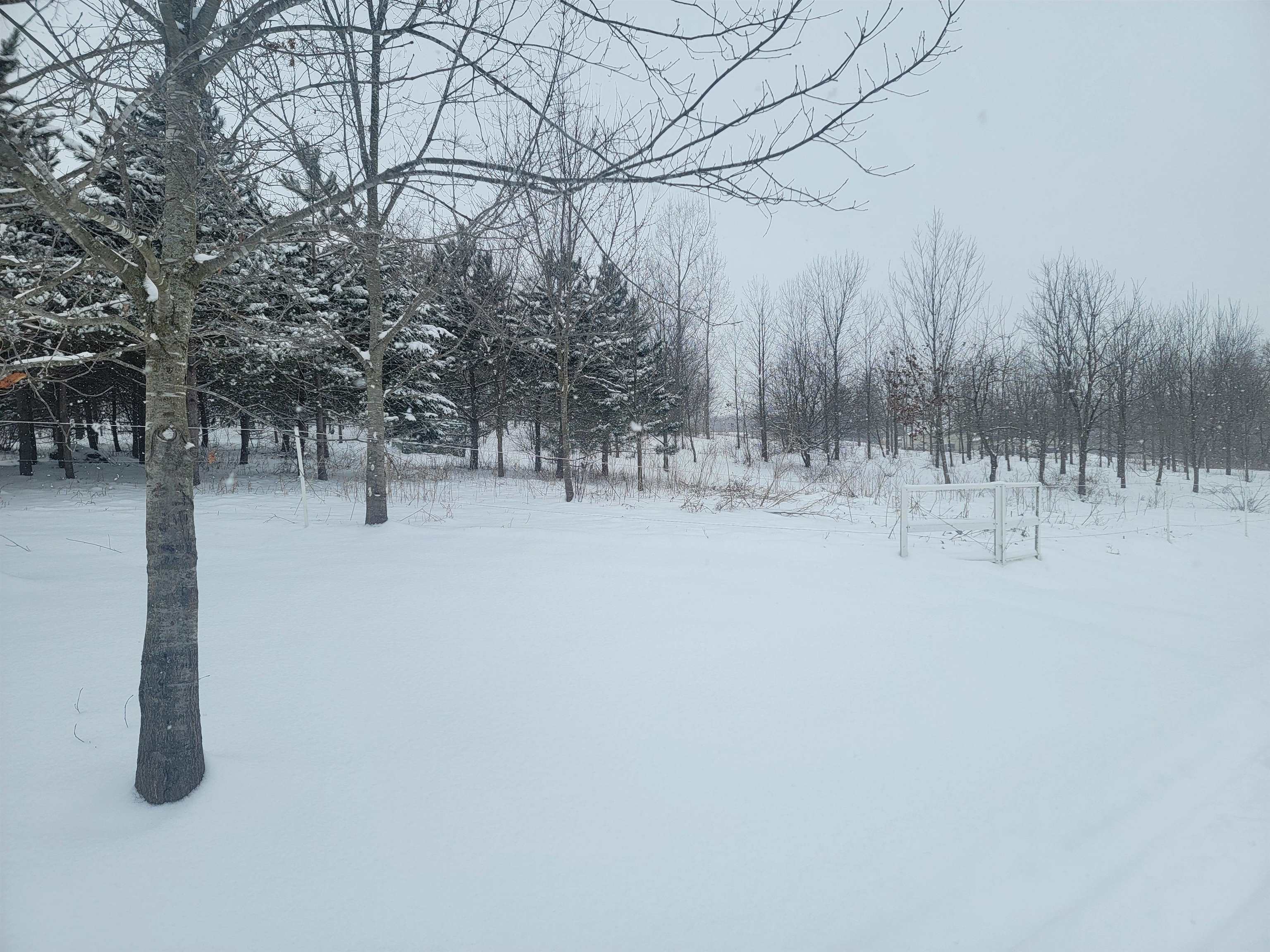 S6570 Hillpoint Road Hillpoint, WI 53937 - Photo 27 of 27