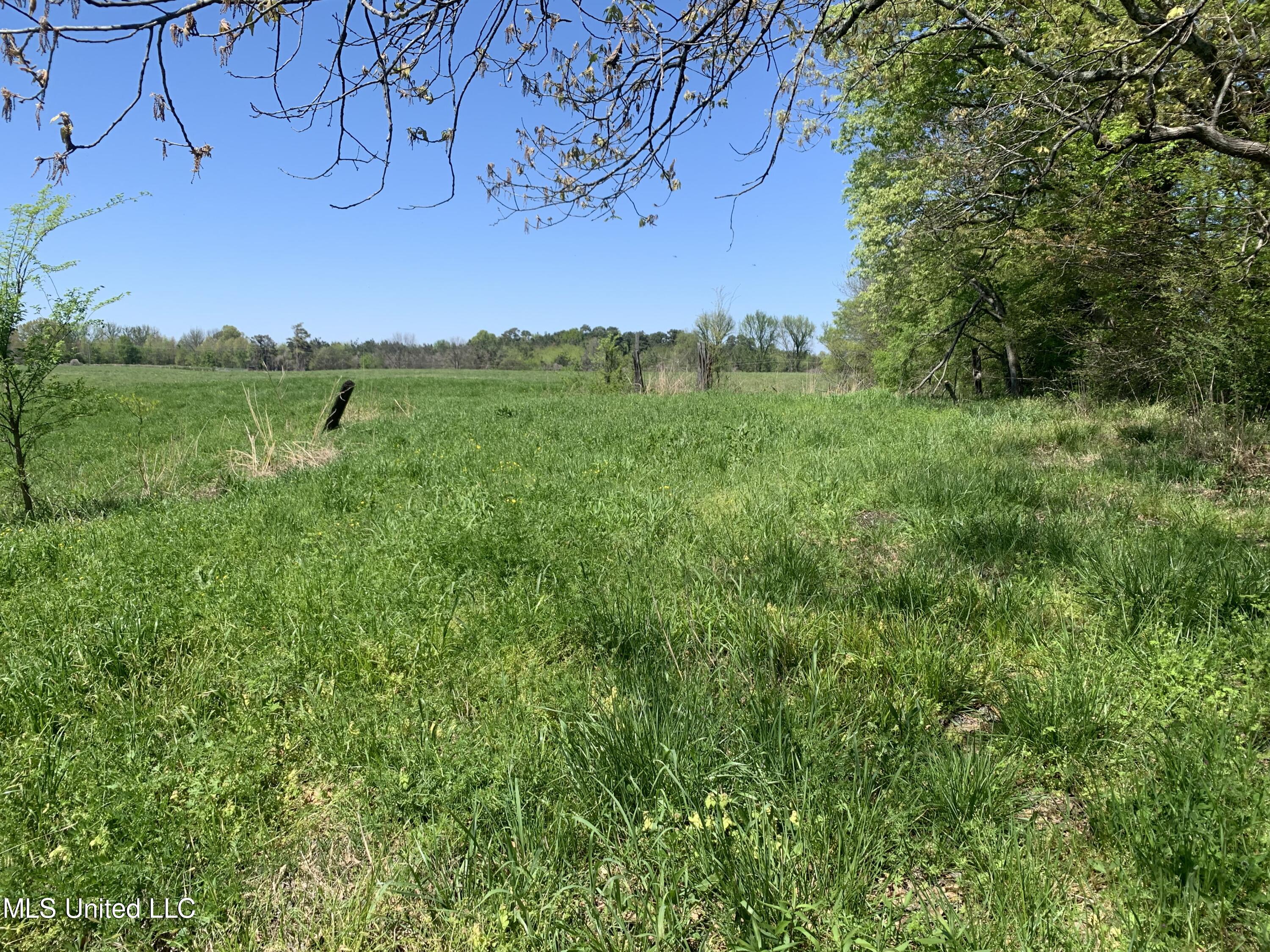 7 Baldwin Road South Hernando, MS 38632 - Photo 1 of 2 CFBCF954-0224-42E4-ACCC-EFC942F93DA3