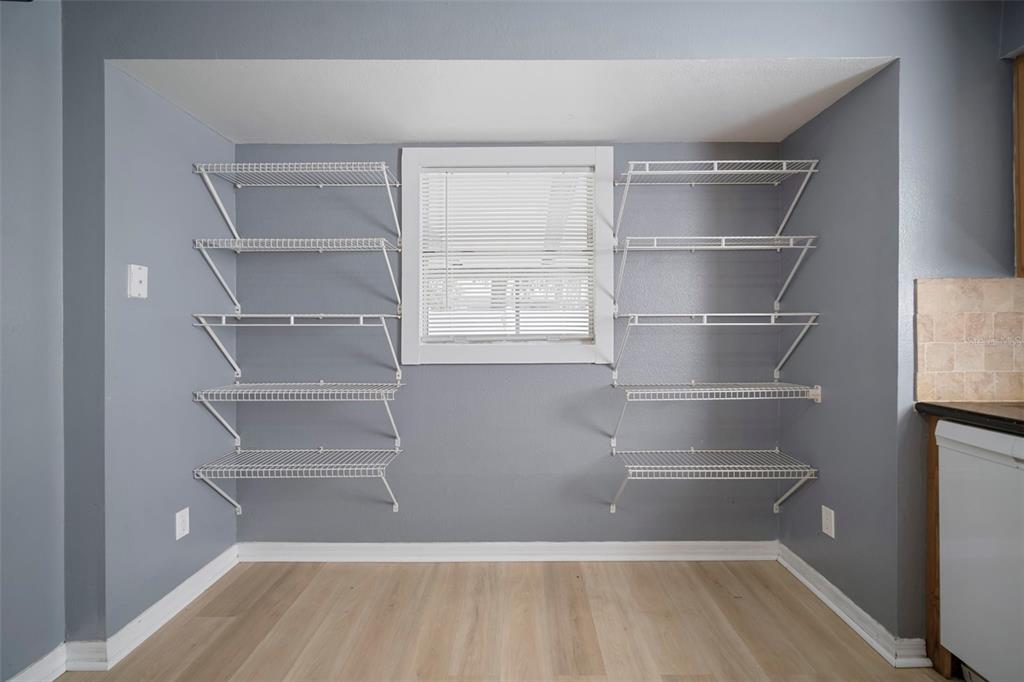 12825 Tallowood Drive Riverview, FL 33579 - Photo 28 of 43 a empty closet with white paint