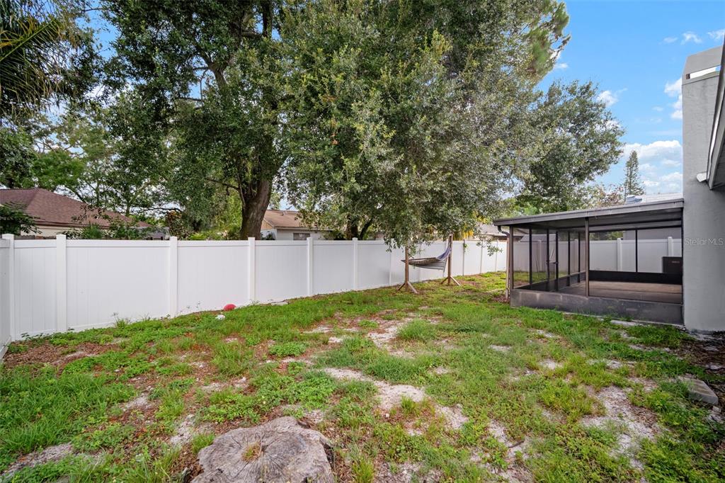 12825 Tallowood Drive Riverview, FL 33579 - Photo 42 of 43 a backyard of a house with plants and large tree