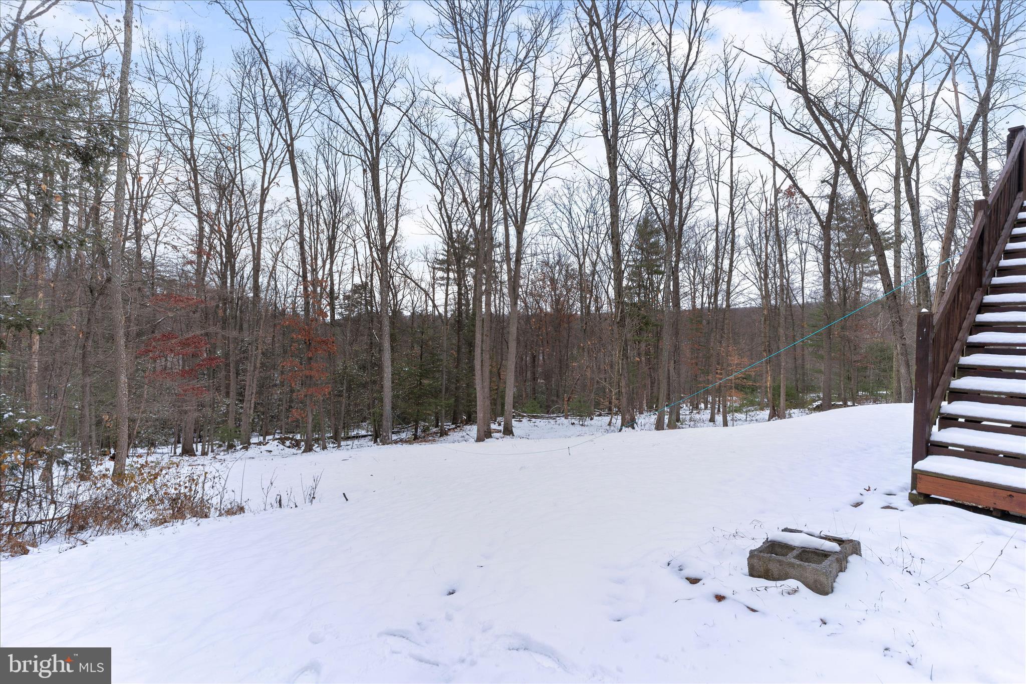 1565 Fox Hollow Road Shermans Dale, PA 17090 - Photo 6 of 41 a view of snow on the road