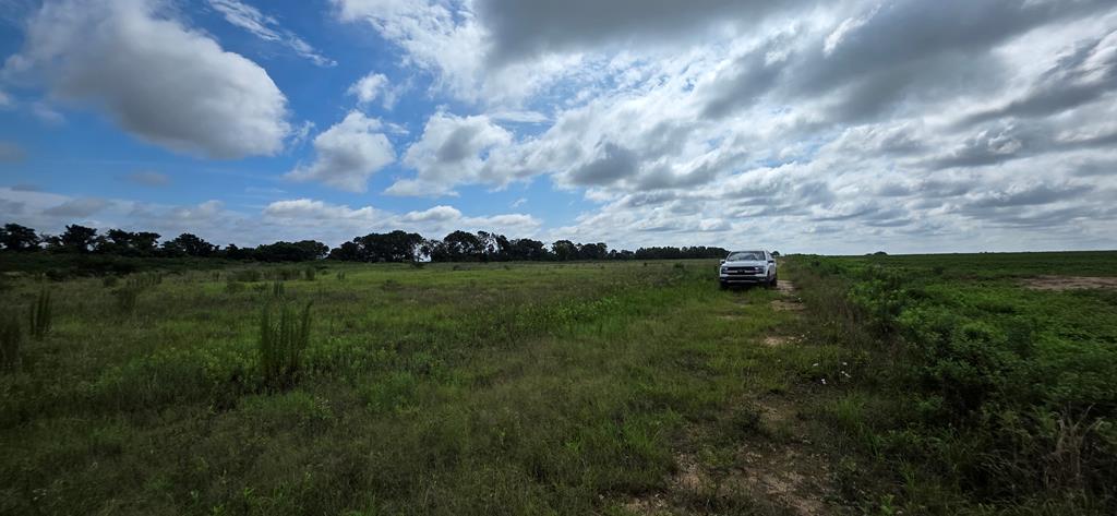 18.3-acres Hollis Dairy Road Newton, AL 36352 - Photo 8 of 11