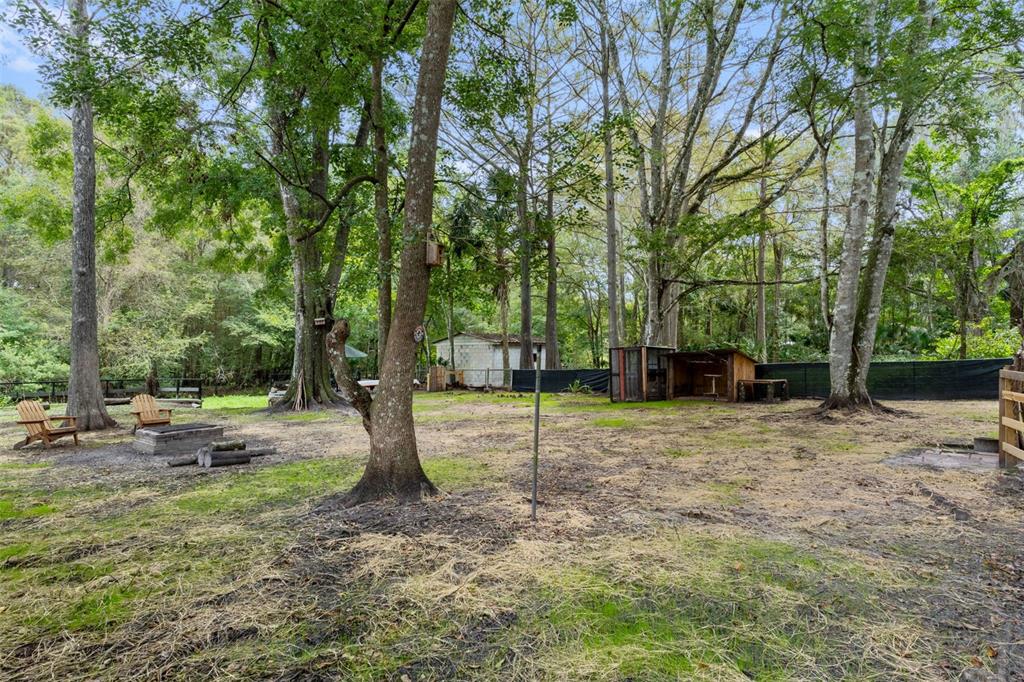 353 North Robin Hood Road Inverness, FL 34450 - Photo 40 of 59 a fire hydrant in the middle of a field