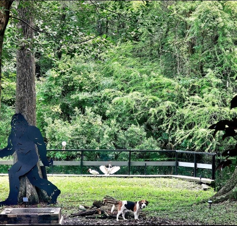 353 North Robin Hood Road Inverness, FL 34450 - Photo 43 of 59 a view of a golf course with a park