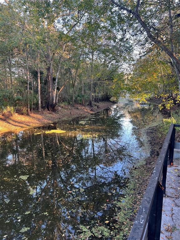 353 North Robin Hood Road Inverness, FL 34450 - Photo 53 of 59 a view of a yard with wooden fence