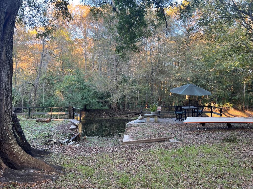 353 North Robin Hood Road Inverness, FL 34450 - Photo 55 of 59