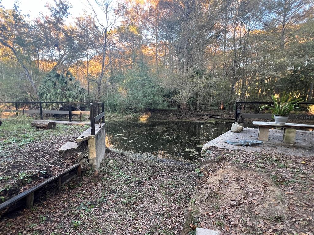 353 North Robin Hood Road Inverness, FL 34450 - Photo 56 of 59 a view of backyard with trees