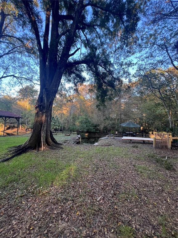 353 North Robin Hood Road Inverness, FL 34450 - Photo 57 of 59 a view of a yard with a large tree