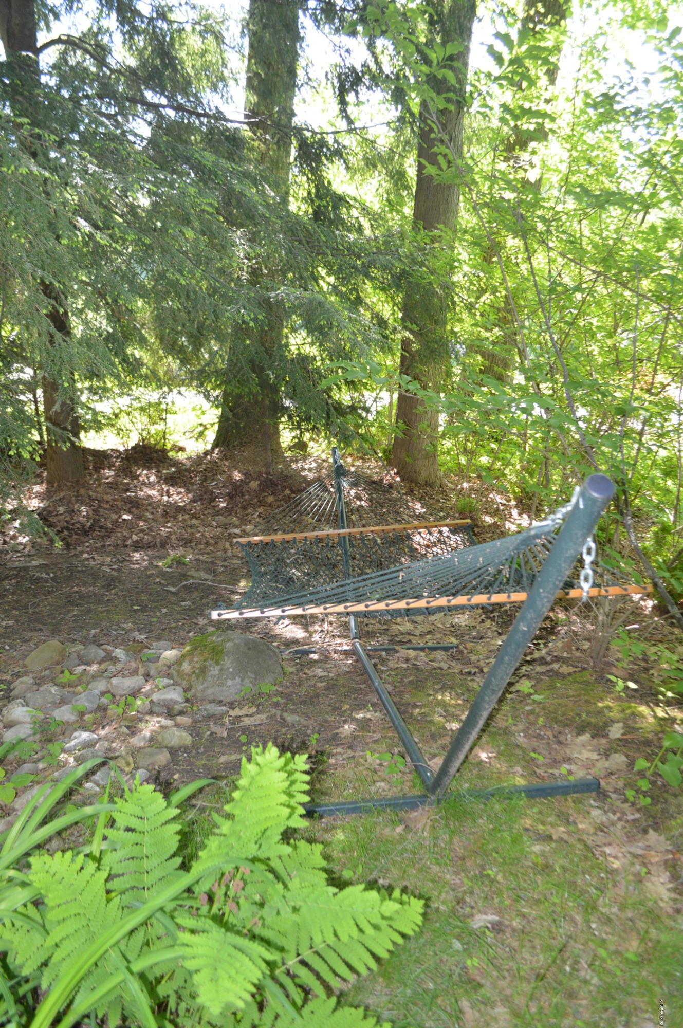 32 Chestnut Road Richmond, MA 01201 - Photo 26 of 31 a view of a yard with plants and large trees