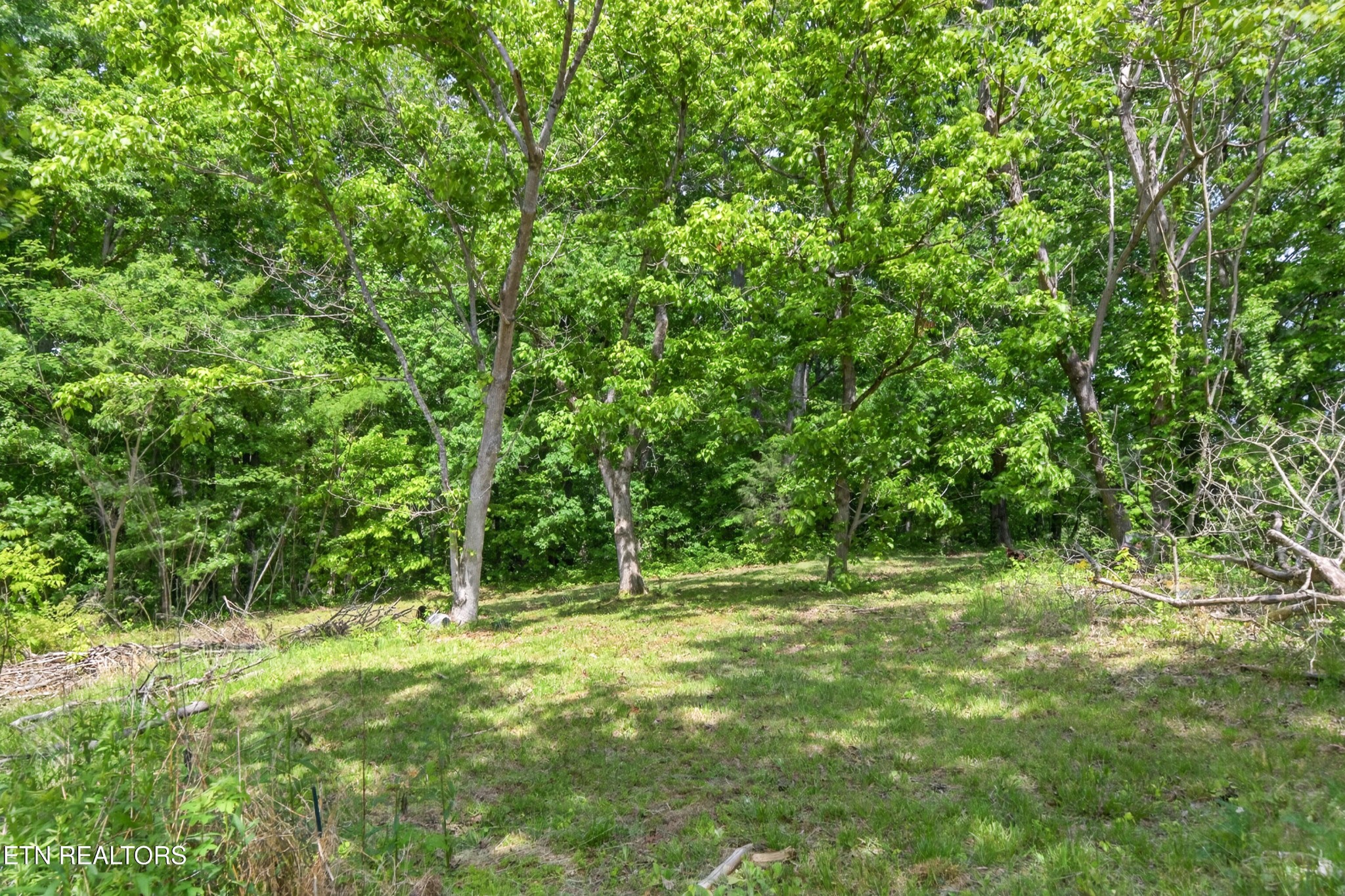1161 Charlie Doss Road Jamestown, TN 38556 - Photo 6 of 43