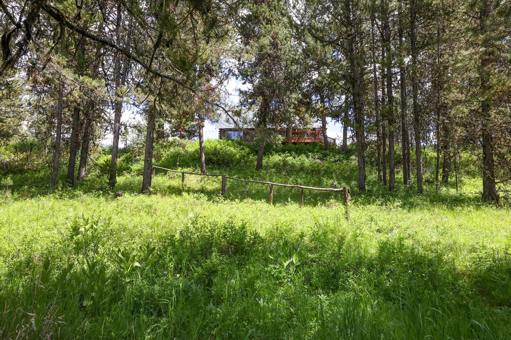 97 Coy Road McCall, ID 83638 - Photo 49 of 53