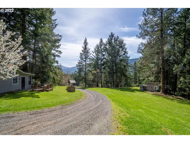 a view of a backyard with a garden and plants