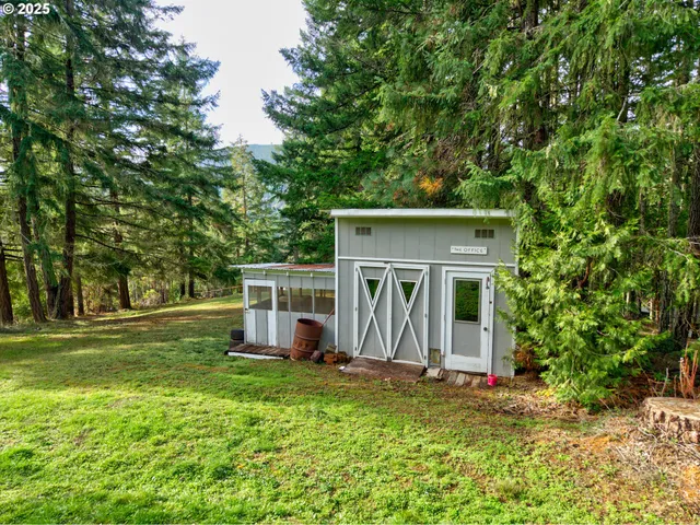 a view of a park with large trees