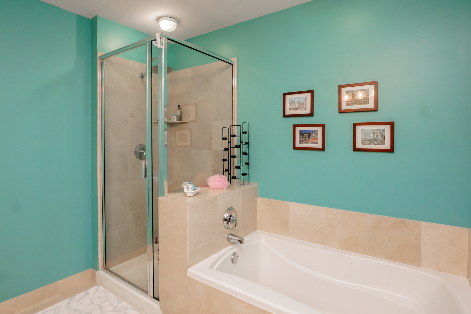 565 West Quincy Street, Unit 710 Chicago, IL 60661 - Photo 19 of 22 a bathroom with a bathtub and a shower