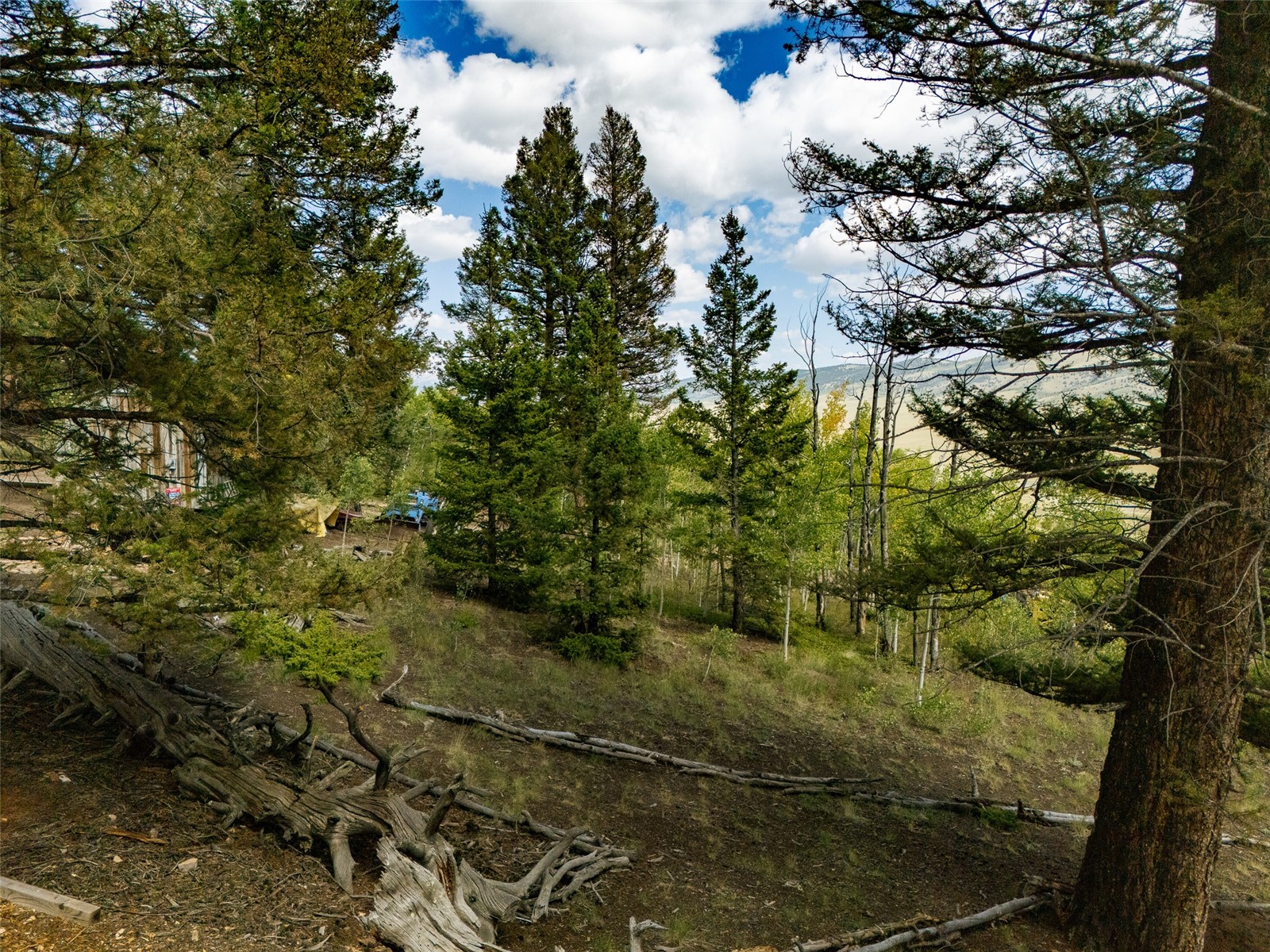 2490 Redhill Road Fairplay, CO 80440 - Photo 6 of 26 Gallery Image 6
