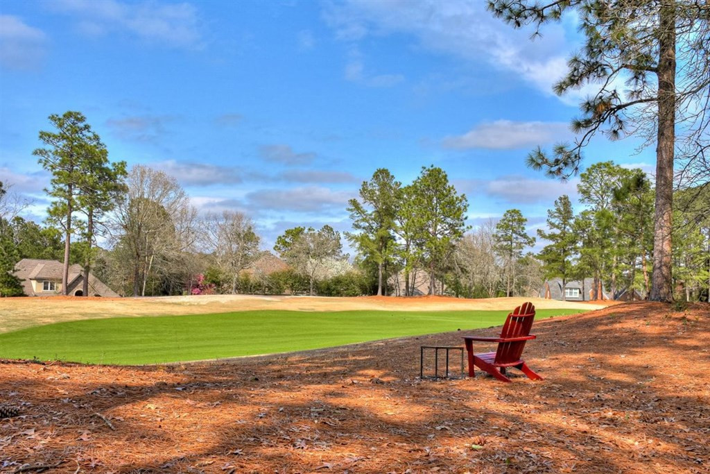 121 Pine Needle Road Aiken, SC 29803 - Photo 2 of 66