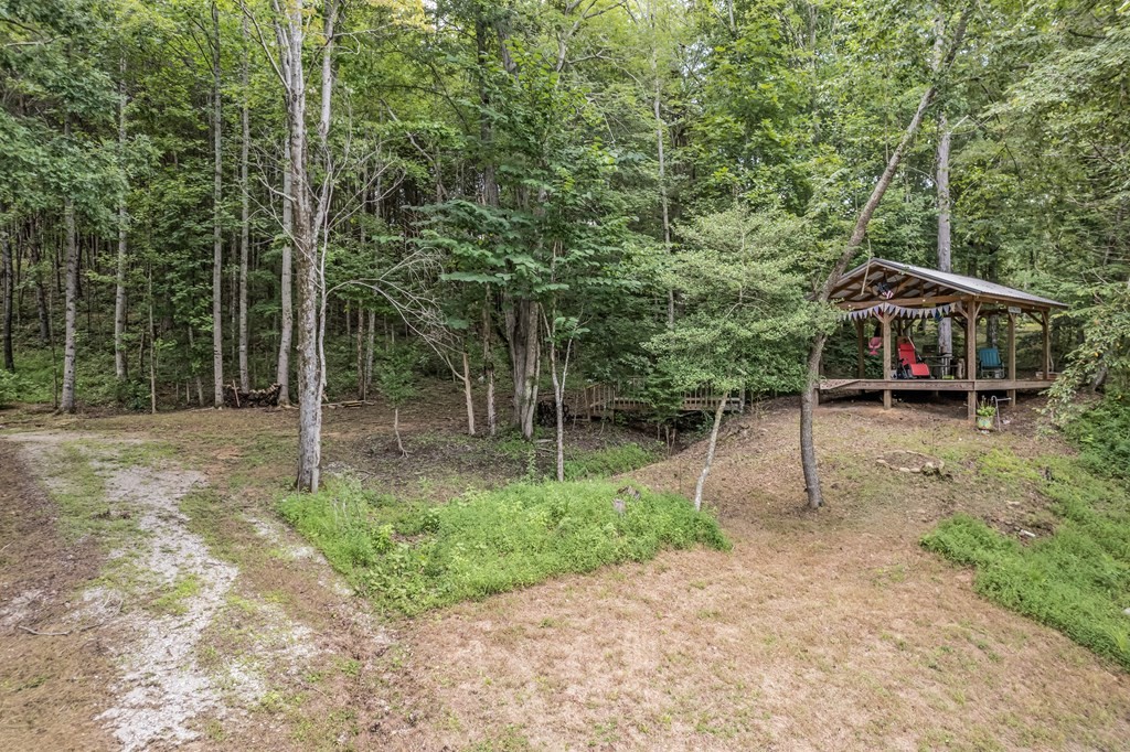356 Butts Bridge Road Sparta, TN 38583 - Photo 6 of 39 Gallery Image 6