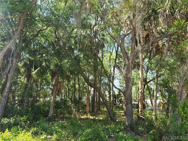 $19,500 | 7075 West Crestview Lane, Crystal River, FL 34429