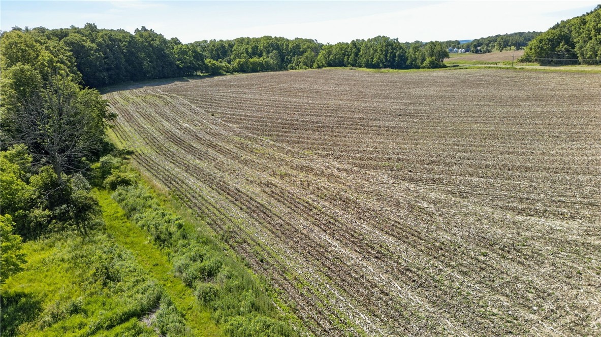Cramer Road Canandaigua, NY 14424 - Photo 20 of 47