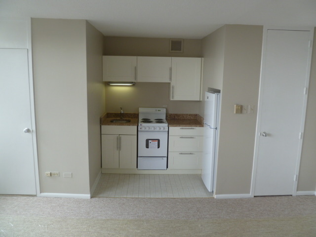3110 North Sheridan Road, Unit 1508 Chicago, IL 60657 - Photo 4 of 9