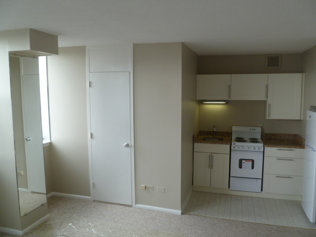 3110 North Sheridan Road, Unit 1508 Chicago, IL 60657 - Photo 5 of 9