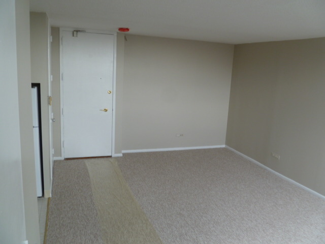 3110 North Sheridan Road, Unit 1508 Chicago, IL 60657 - Photo 7 of 9