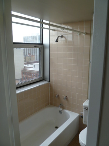 3110 North Sheridan Road, Unit 1508 Chicago, IL 60657 - Photo 9 of 9
