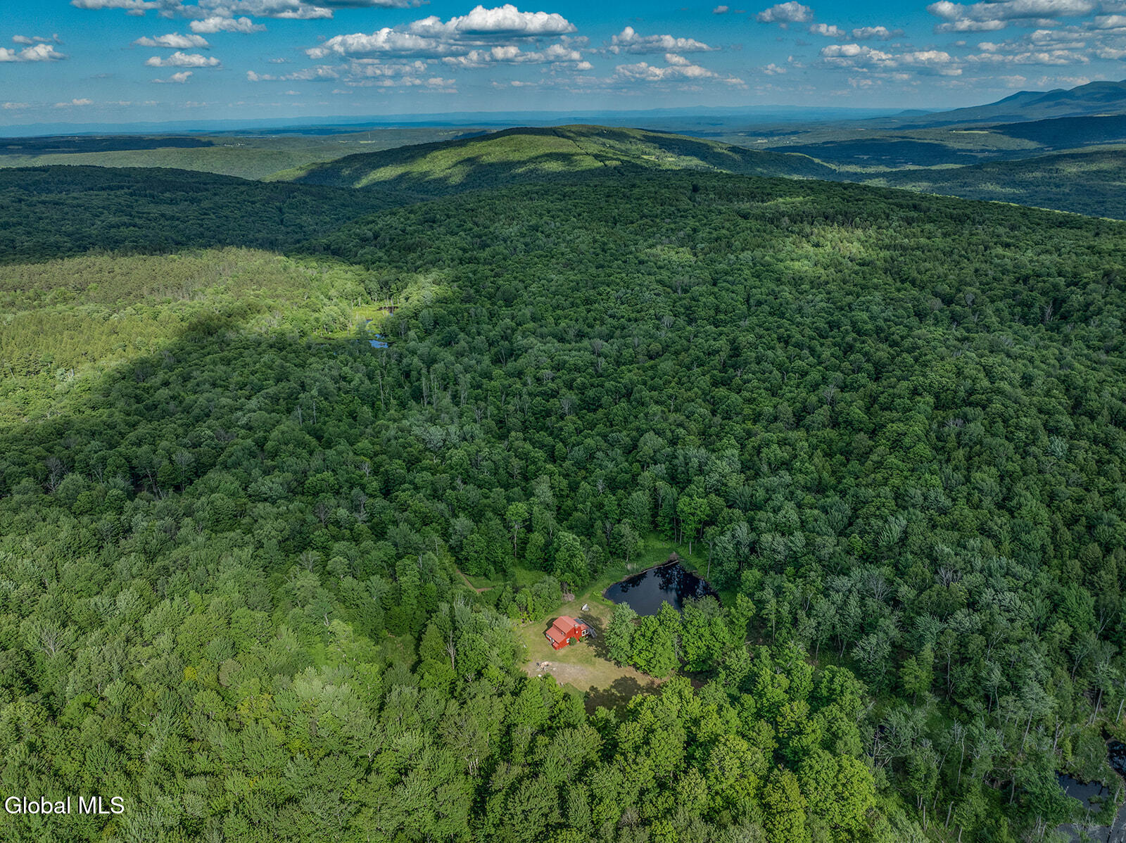 269 Federal City Road Broome, NY 12469 - Photo 14 of 43 DJI_0809-Edit