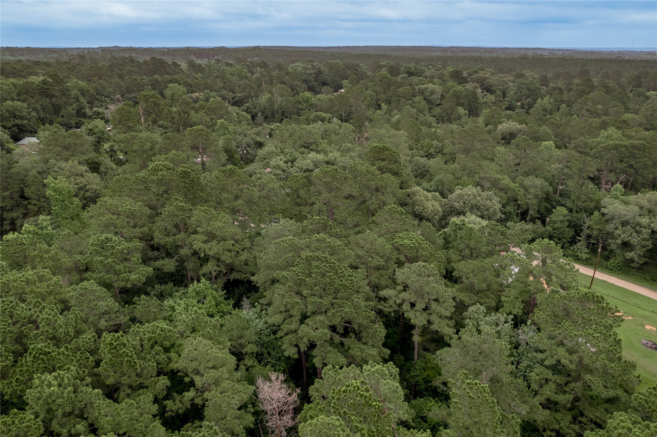 Lot 56 Post Oak Circle Trinity, TX 75862 - Photo 30 of 33