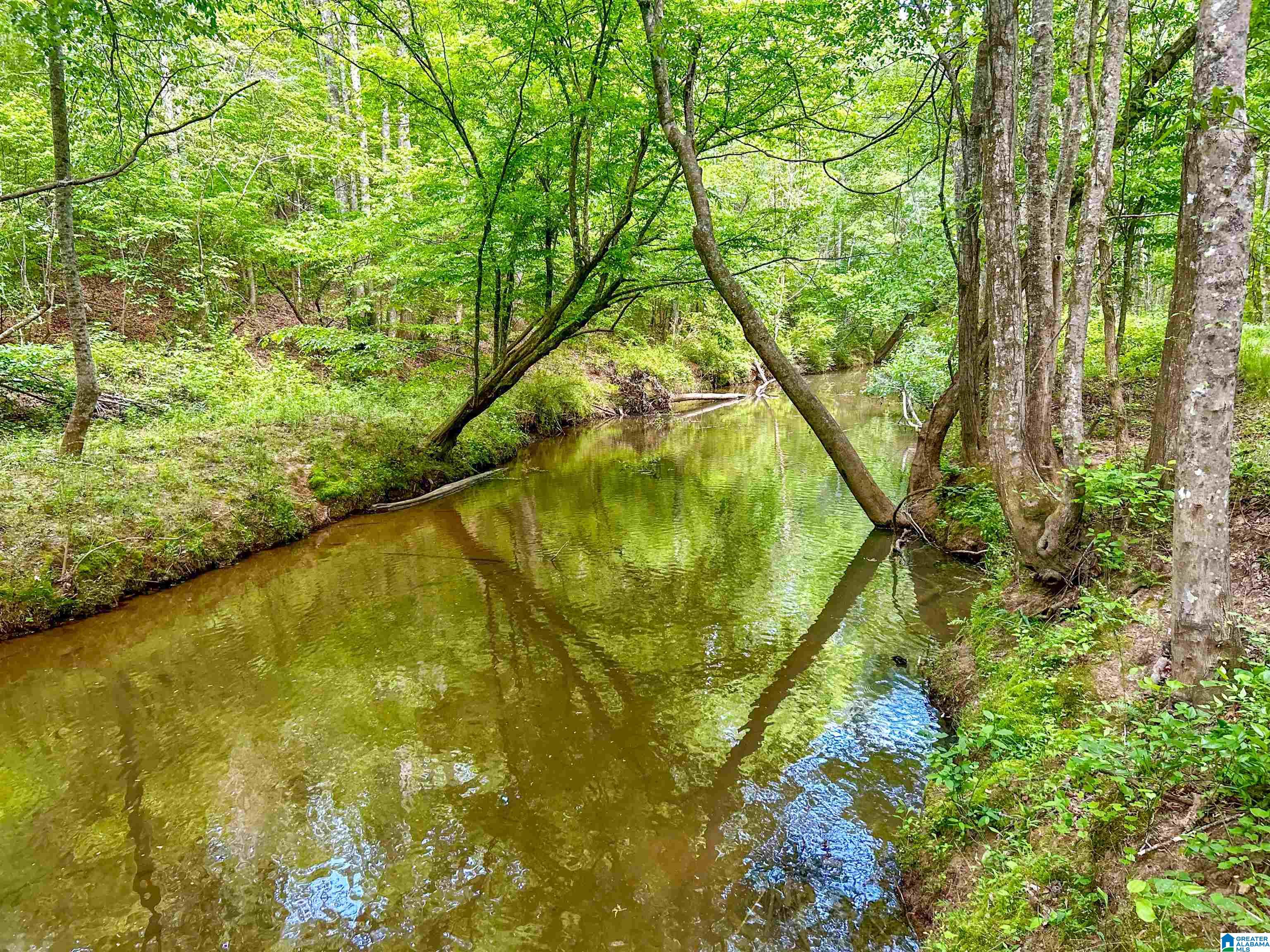 1 Old Mill Road Goodwater, AL 35072 - Photo 2 of 22