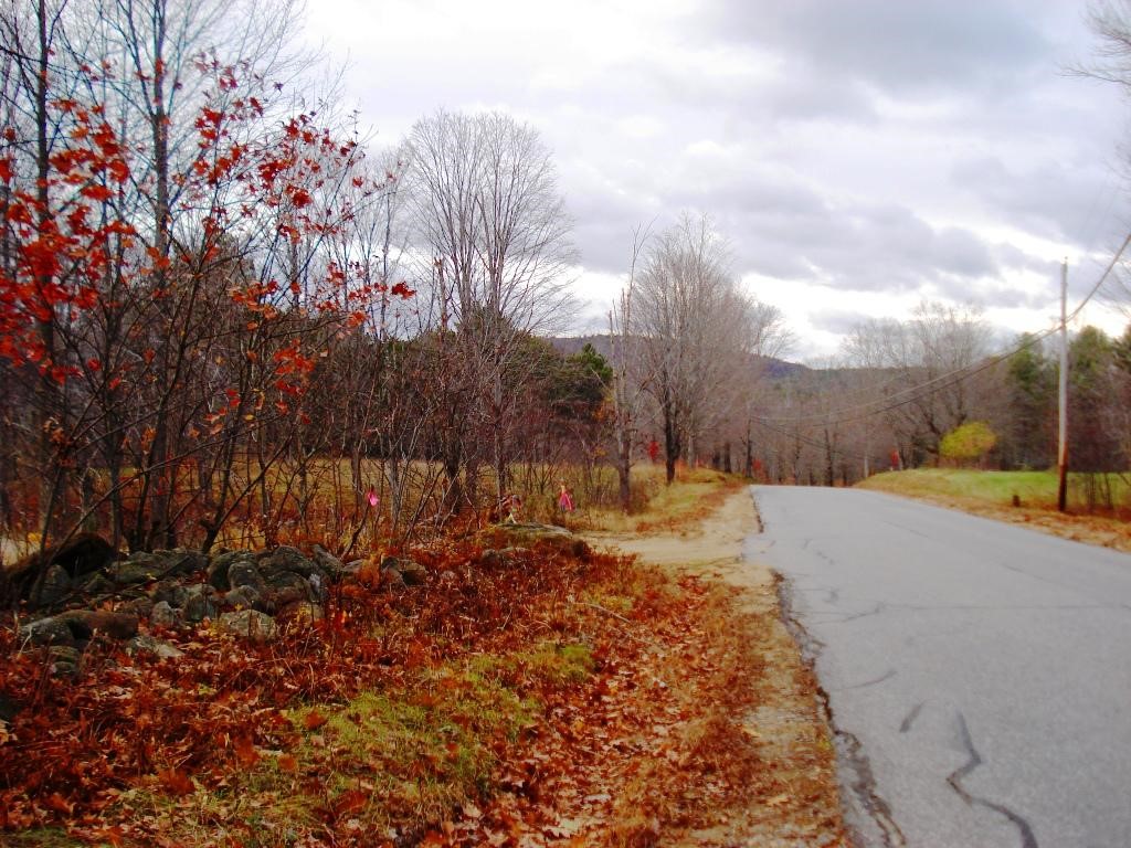 Lot 1-2 Allens Mill Road Gilmanton, NH 03237 - Photo 11 of 14