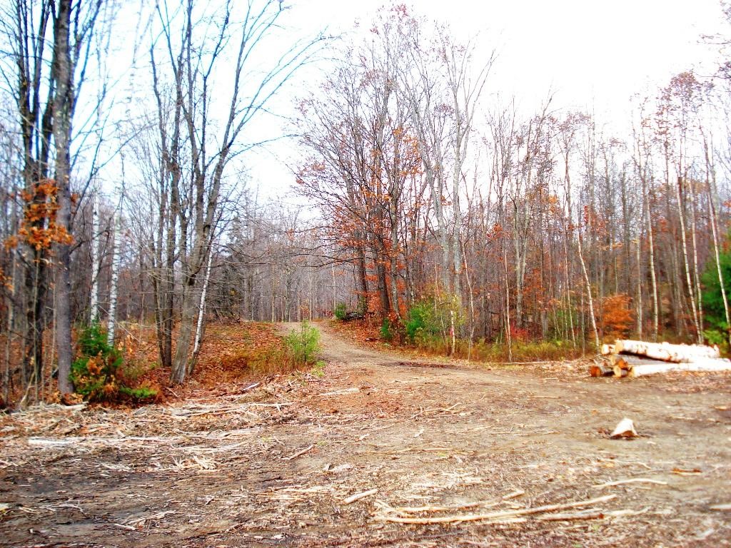 Lot 1-2 Allens Mill Road Gilmanton, NH 03237 - Photo 13 of 14