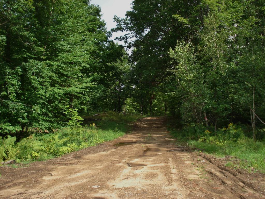 Lot 1-2 Allens Mill Road Gilmanton, NH 03237 - Photo 4 of 14
