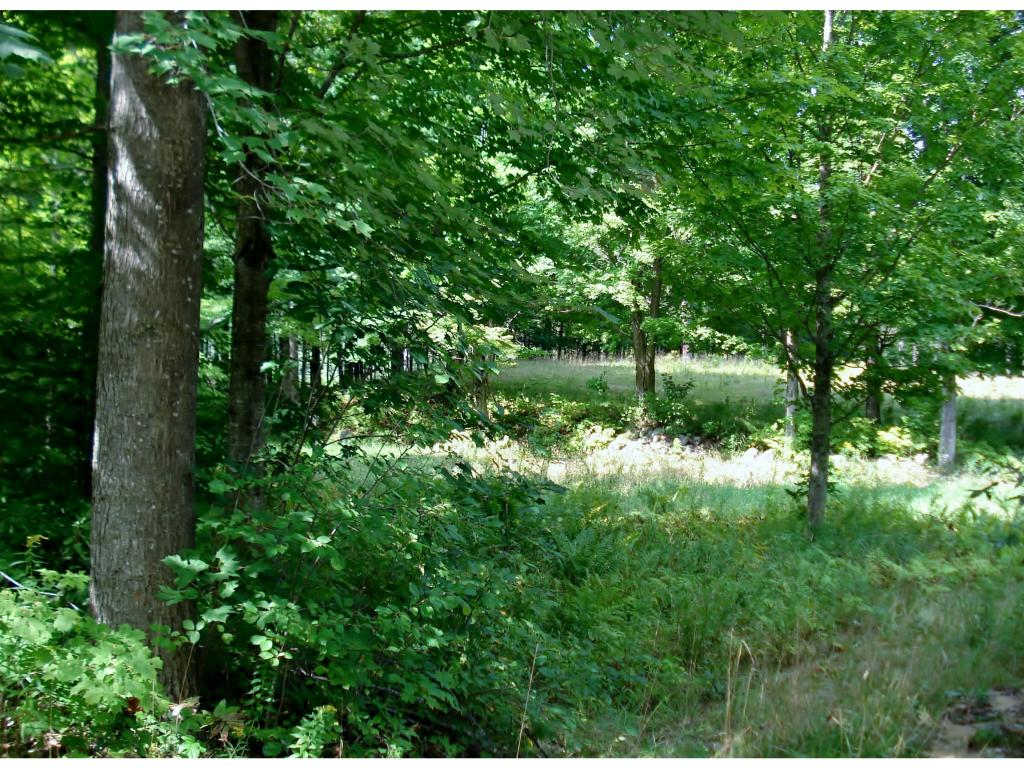 Lot 1-2 Allens Mill Road Gilmanton, NH 03237 - Photo 5 of 14