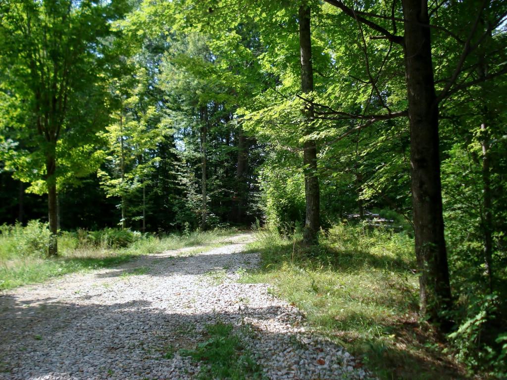 Lot 1-2 Allens Mill Road Gilmanton, NH 03237 - Photo 6 of 14