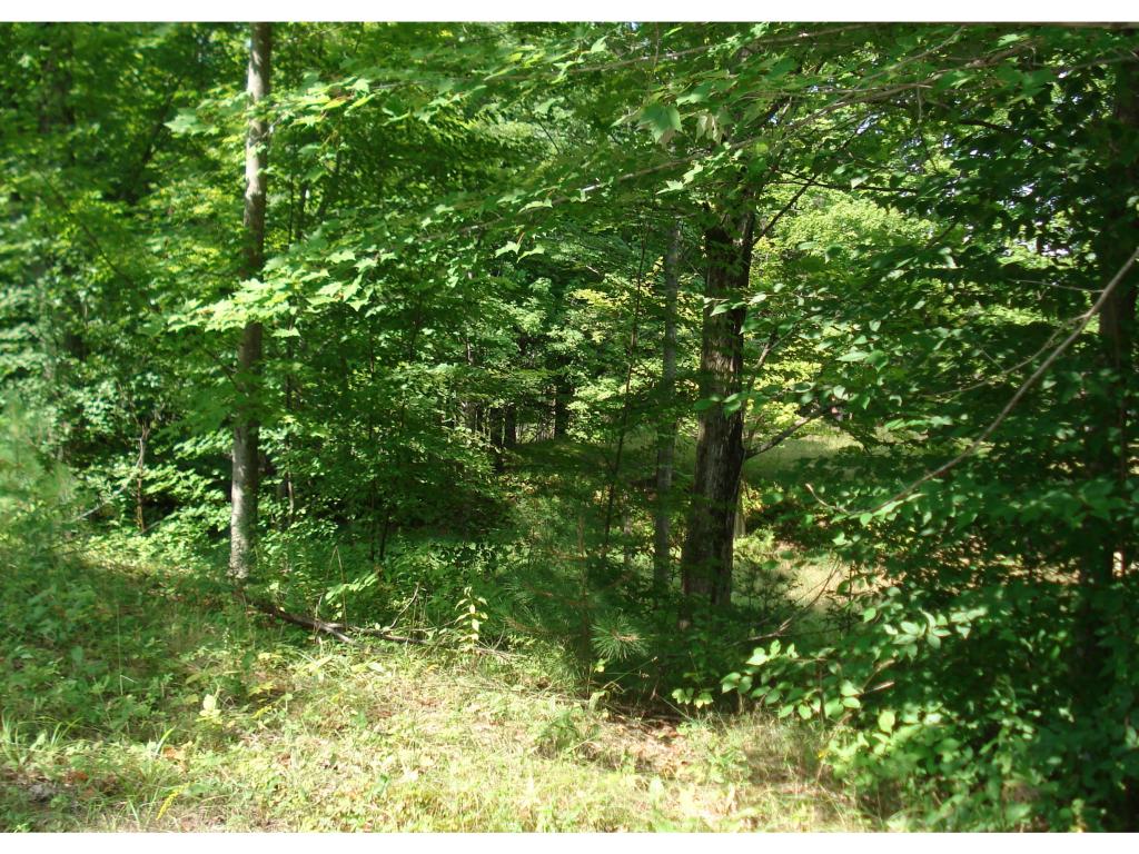 Lot 1-2 Allens Mill Road Gilmanton, NH 03237 - Photo 8 of 14