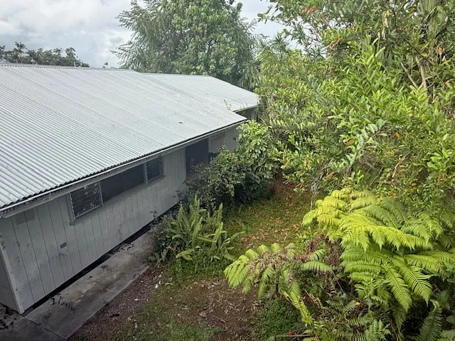 a view of a backyard