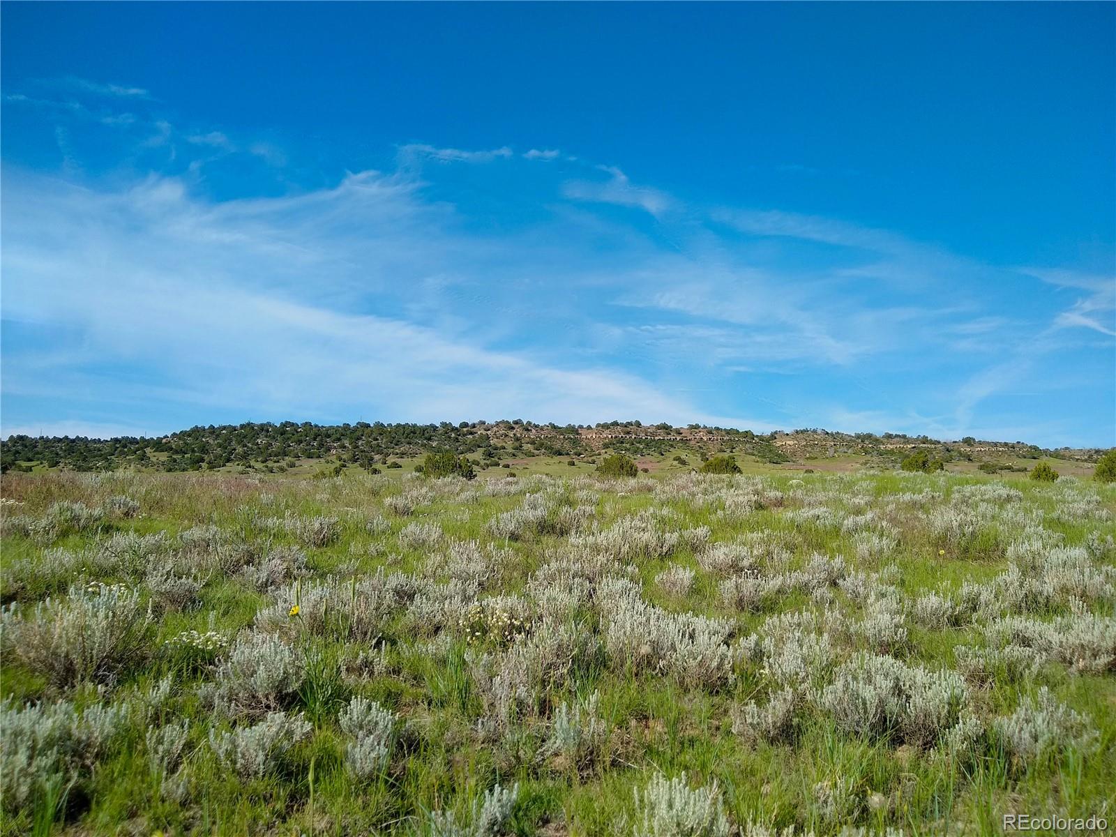 0 County 113 Lane Rye, CO 81069 - Photo 47 of 50 Gallery Image 47