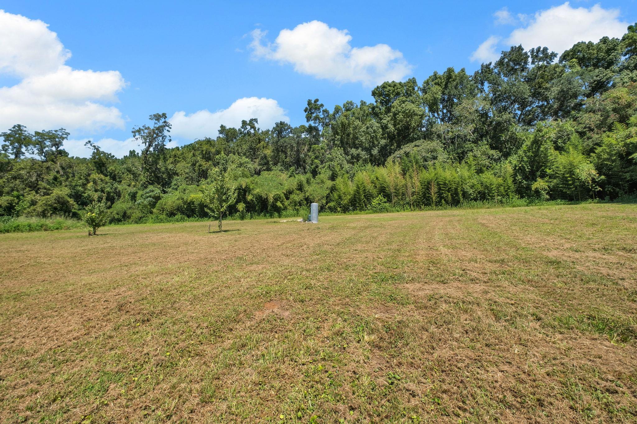 525 Devane Road Monticello, FL 32344 - Photo 7 of 48