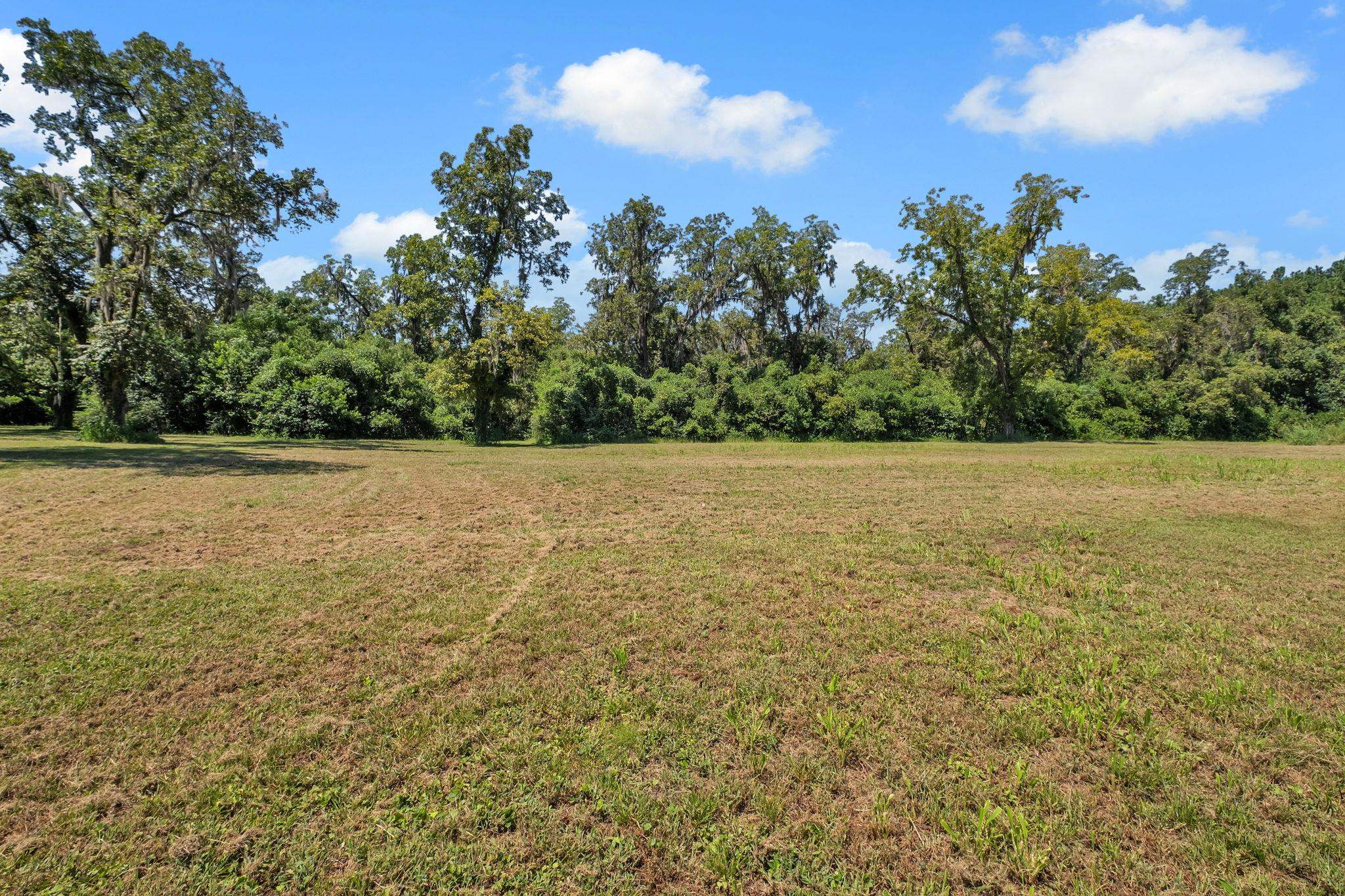 525 Devane Road Monticello, FL 32344 - Photo 10 of 48