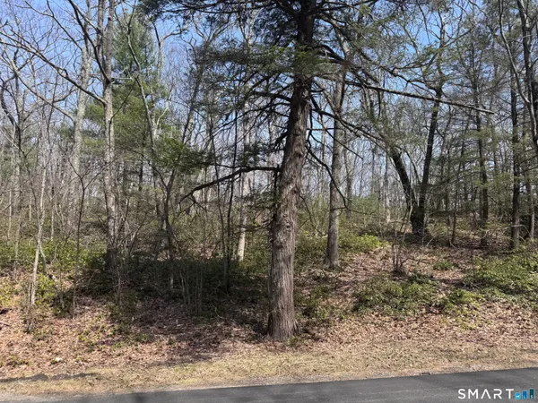 $150,000 | Windy Ridge Road, Warren, CT 06754