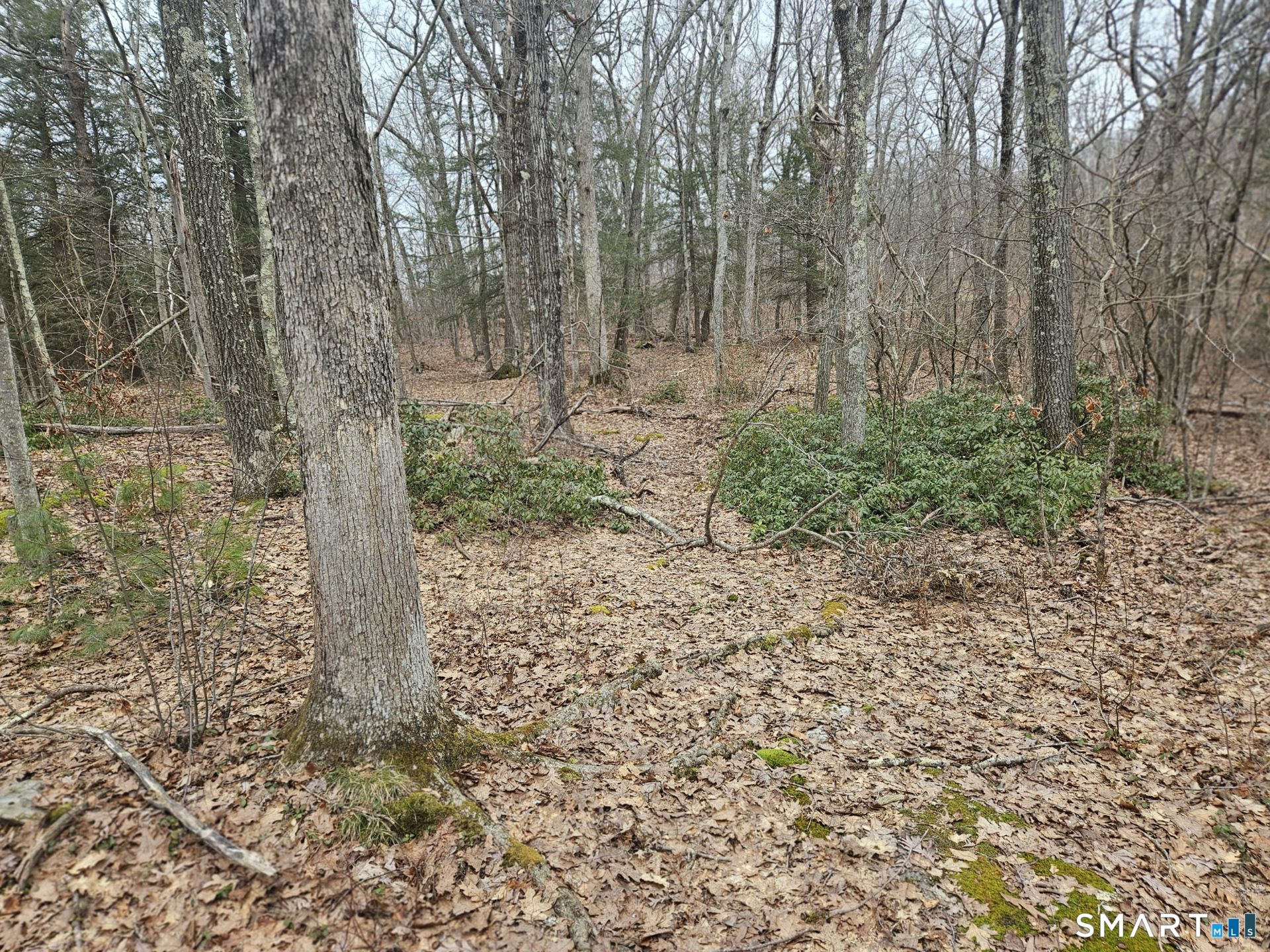 Windy Ridge Road Warren, CT 06754 - Photo 2 of 9