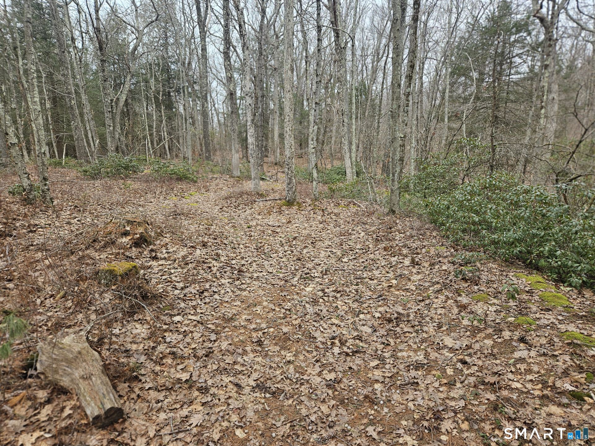 Windy Ridge Road Warren, CT 06754 - Photo 3 of 9