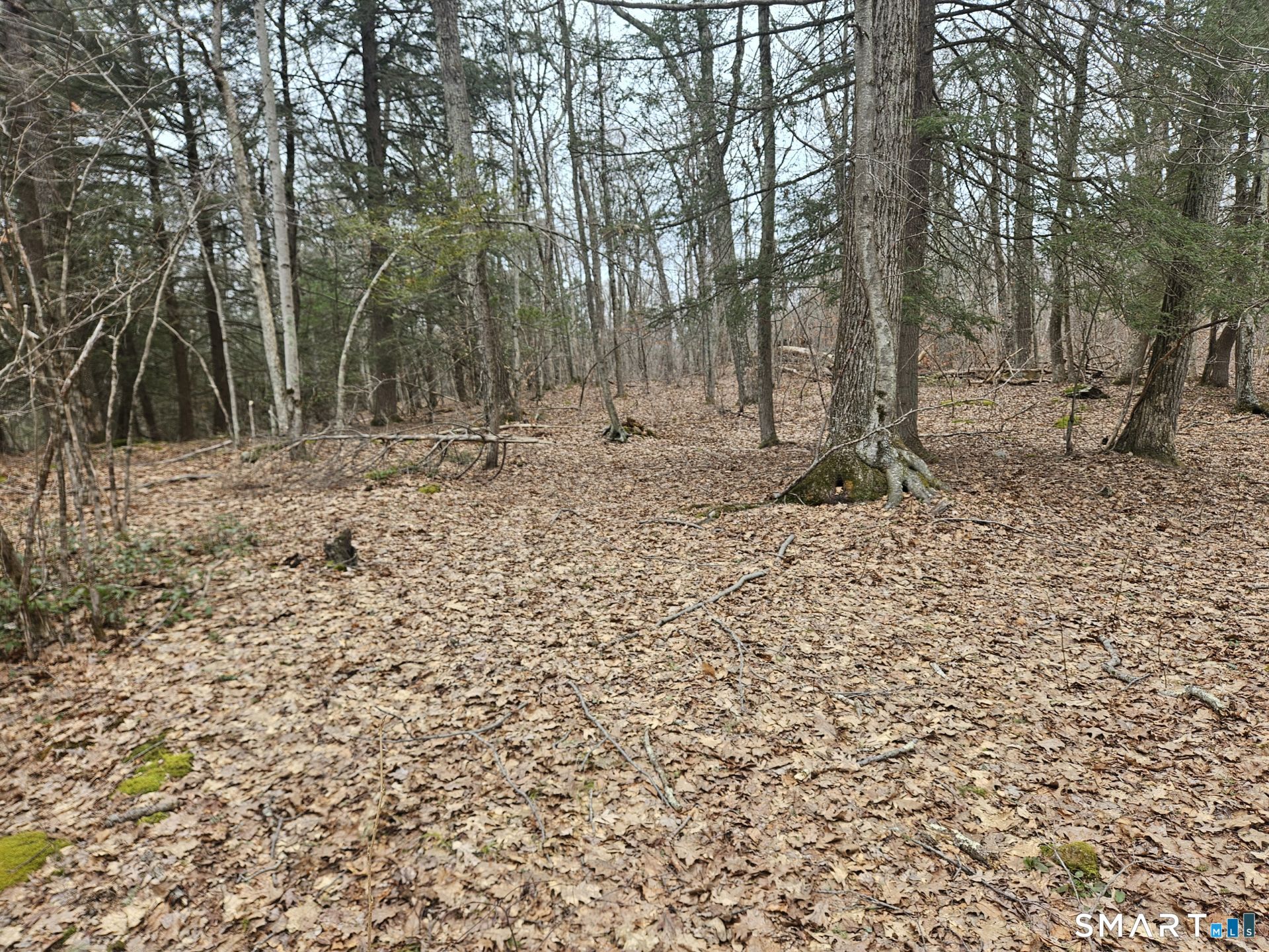 Windy Ridge Road Warren, CT 06754 - Photo 4 of 9