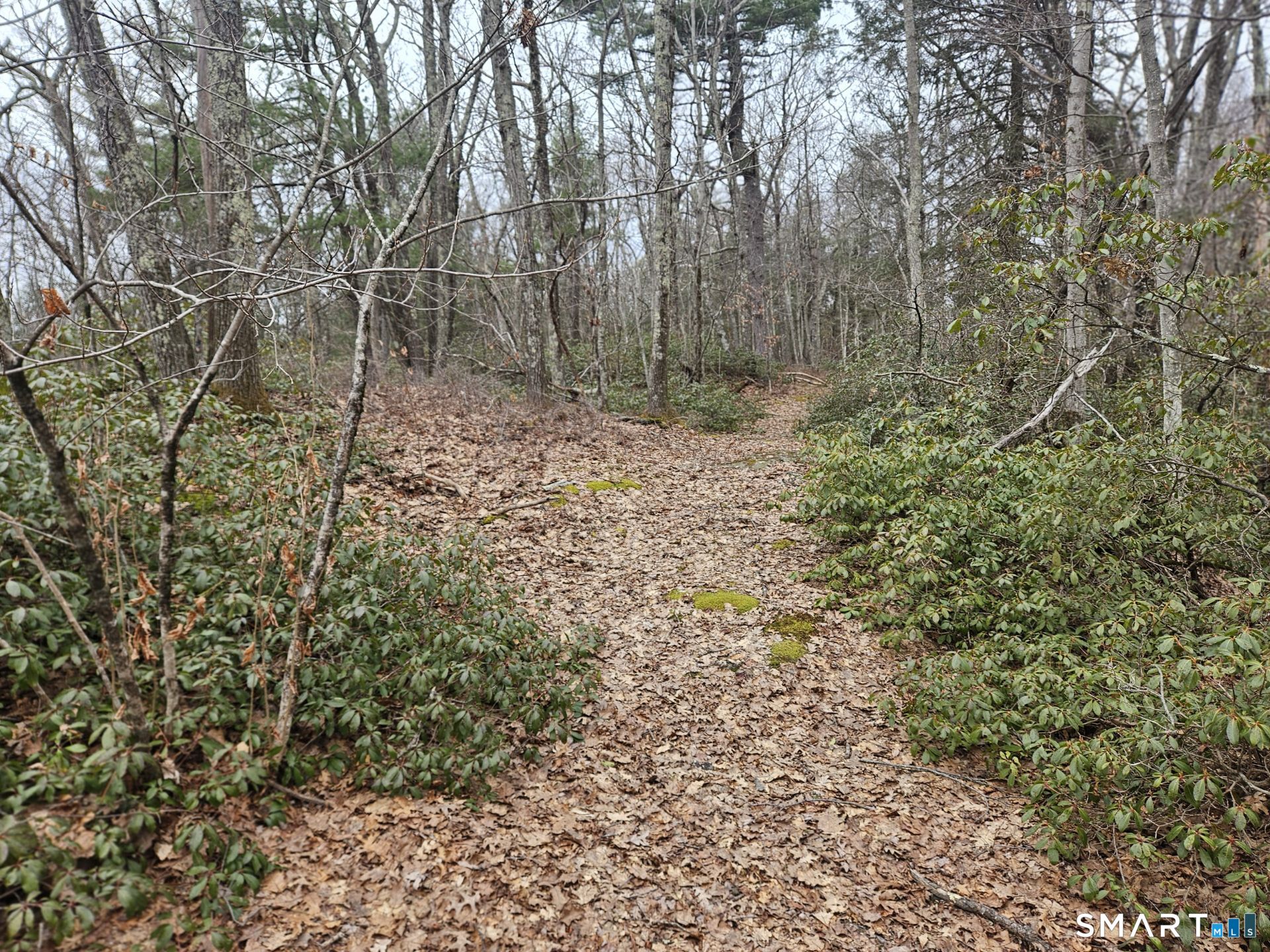 Windy Ridge Road Warren, CT 06754 - Photo 5 of 9