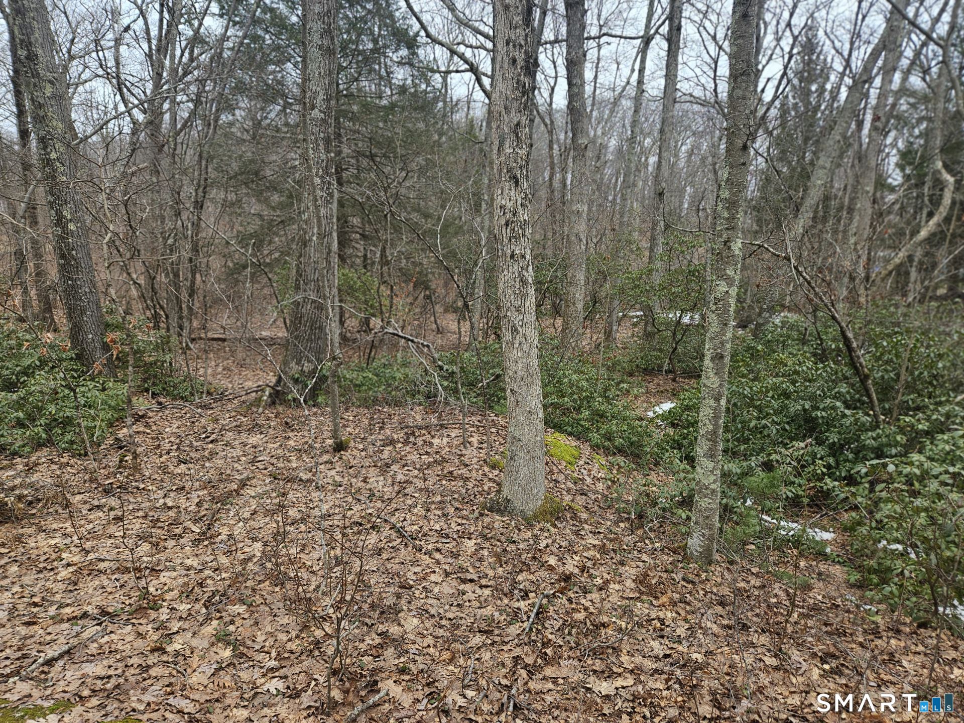 Windy Ridge Road Warren, CT 06754 - Photo 6 of 9