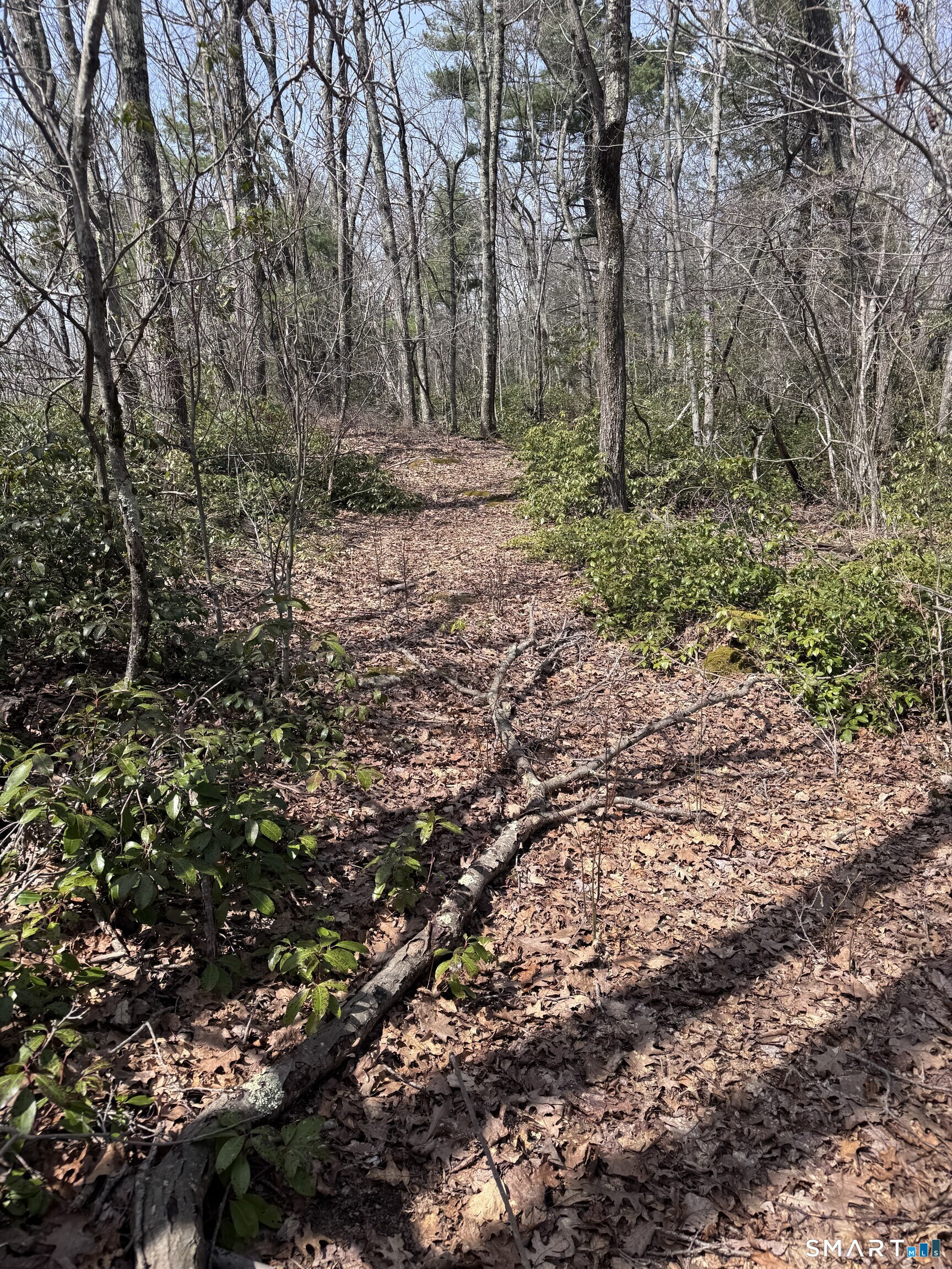 Windy Ridge Road Warren, CT 06754 - Photo 8 of 9