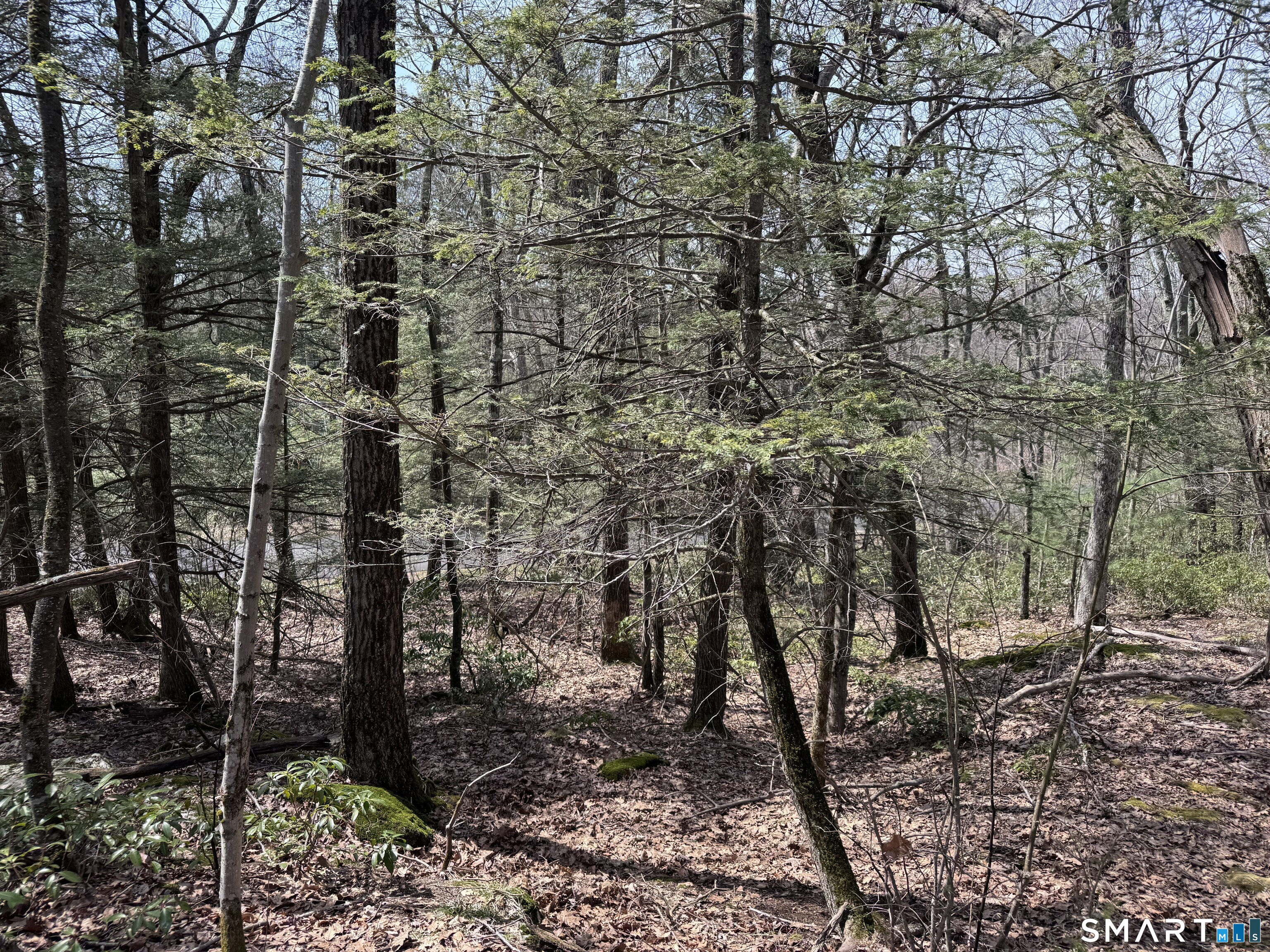 Windy Ridge Road Warren, CT 06754 - Photo 9 of 9