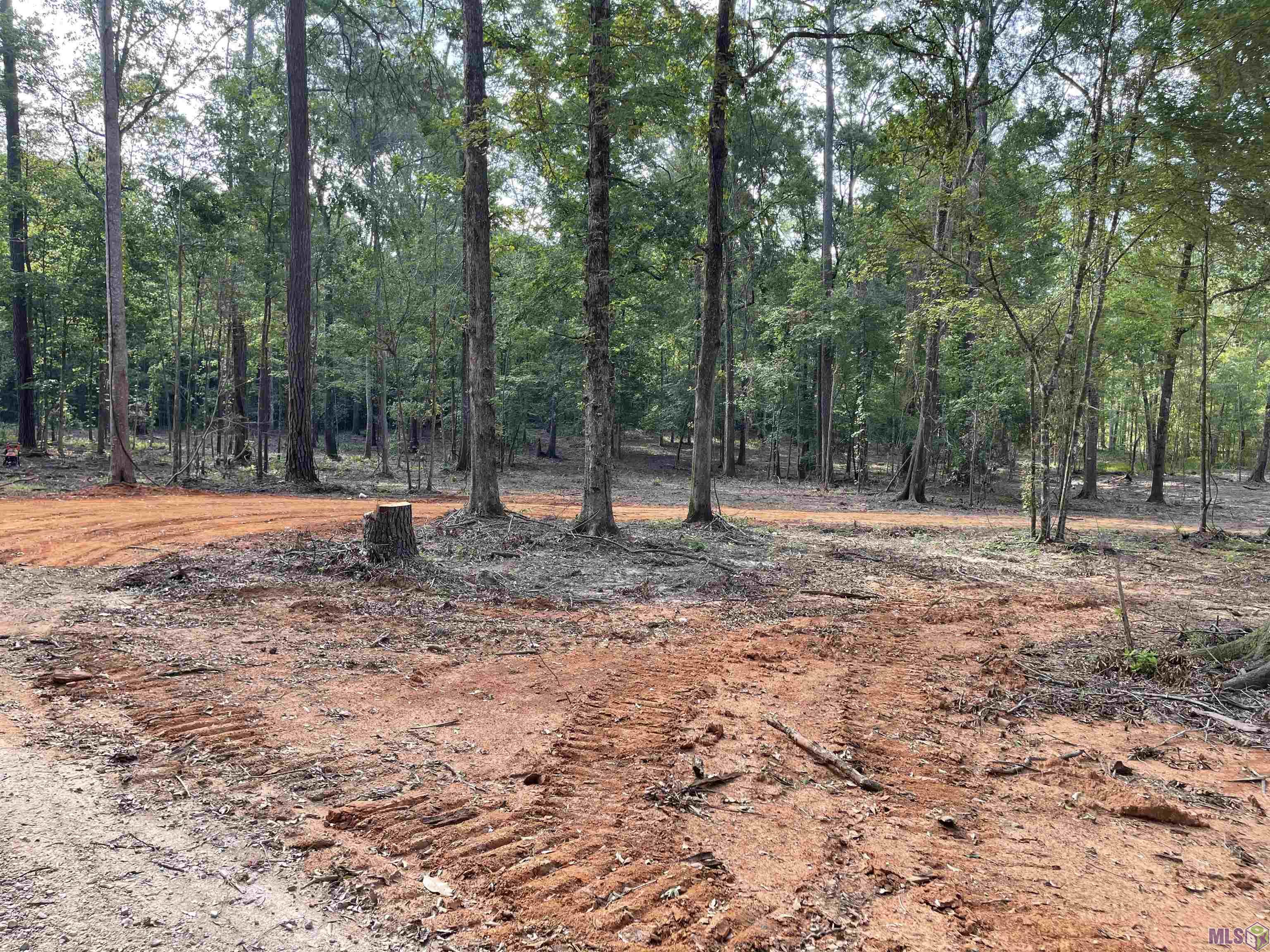 8177 Hepzibah Road Clinton, LA 70722 - Photo 4 of 4